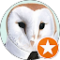 saffy saffy Avatar